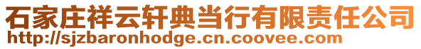 石家莊祥云軒典當(dāng)行有限責(zé)任公司