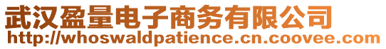 武漢盈量電子商務有限公司