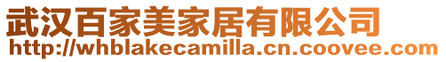 武漢百家美家居有限公司