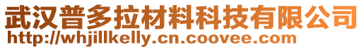 武漢普多拉材料科技有限公司