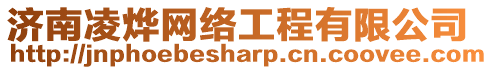 濟南凌燁網絡工程有限公司
