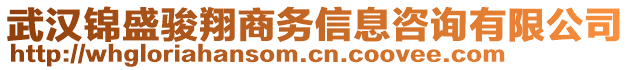 武漢錦盛駿翔商務(wù)信息咨詢有限公司