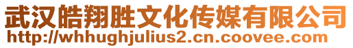 武漢皓翔勝文化傳媒有限公司