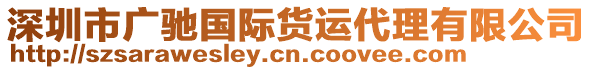 深圳市廣馳國(guó)際貨運(yùn)代理有限公司