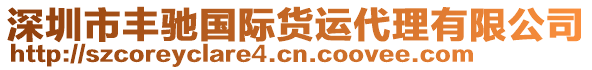 深圳市豐馳國際貨運代理有限公司