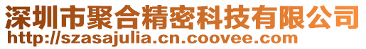 深圳市聚合精密科技有限公司