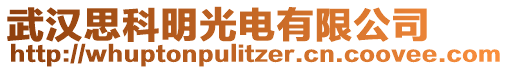 武漢思科明光電有限公司