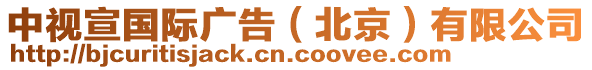 中視宣國際廣告（北京）有限公司