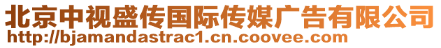 北京中視盛傳國際傳媒廣告有限公司