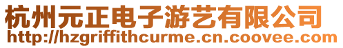 杭州元正電子游藝有限公司