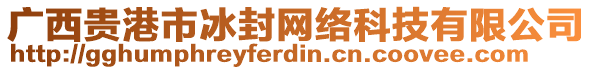 廣西貴港市冰封網(wǎng)絡(luò)科技有限公司