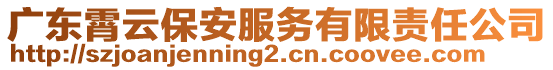 廣東霄云保安服務有限責任公司