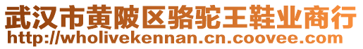 武漢市黃陂區(qū)駱駝王鞋業(yè)商行