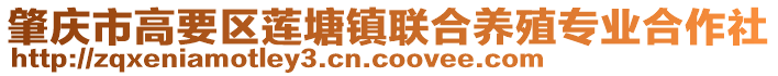 肇慶市高要區(qū)蓮塘鎮(zhèn)聯(lián)合養(yǎng)殖專業(yè)合作社