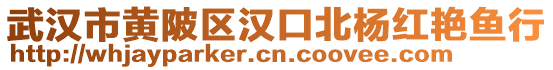 武漢市黃陂區(qū)漢口北楊紅艷魚行