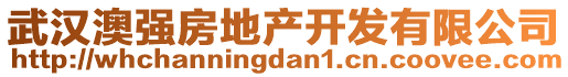 武漢澳強房地產開發(fā)有限公司