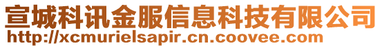 宣城科訊金服信息科技有限公司