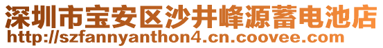 深圳市寶安區(qū)沙井峰源蓄電池店