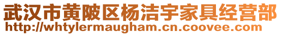 武漢市黃陂區(qū)楊潔宇家具經(jīng)營部