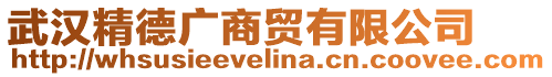 武漢精德廣商貿(mào)有限公司