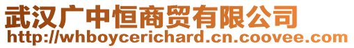 武漢廣中恒商貿(mào)有限公司