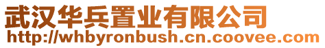 武漢華兵置業有限公司