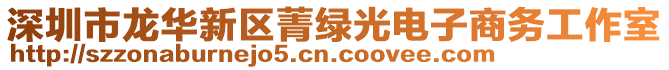深圳市龍華新區菁綠光電子商務工作室