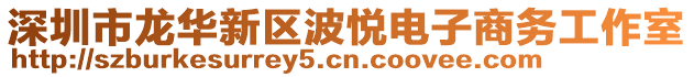 深圳市龍華新區(qū)波悅電子商務(wù)工作室