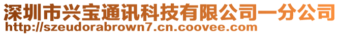 深圳市興寶通訊科技有限公司一分公司