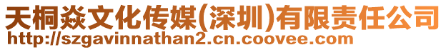 天桐焱文化傳媒(深圳)有限責(zé)任公司