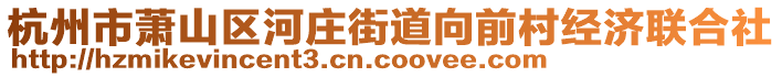 杭州市蕭山區(qū)河莊街道向前村經(jīng)濟聯(lián)合社