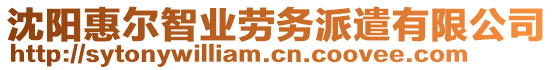 沈陽惠爾智業(yè)勞務派遣有限公司