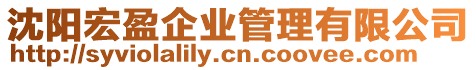 沈陽宏盈企業管理有限公司
