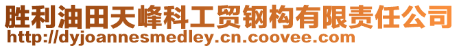 胜利油田天峰科工贸钢构有限责任公司