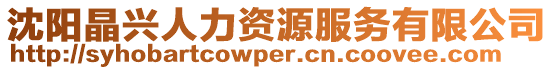 沈陽晶興人力資源服務有限公司