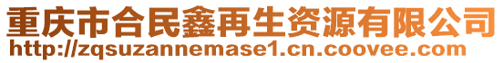 重慶市合民鑫再生資源有限公司