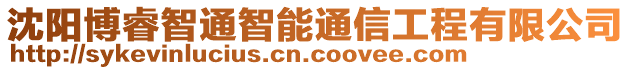 沈陽(yáng)博睿智通智能通信工程有限公司