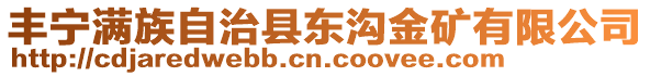 豐寧滿族自治縣東溝金礦有限公司
