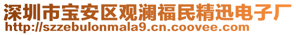 深圳市寶安區(qū)觀瀾福民精迅電子廠