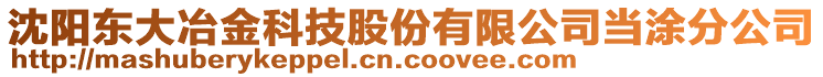 沈陽東大冶金科技股份有限公司當(dāng)涂分公司