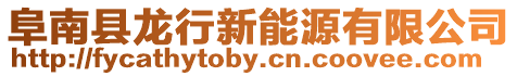 阜南縣龍行新能源有限公司