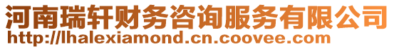 河南瑞軒財務咨詢服務有限公司