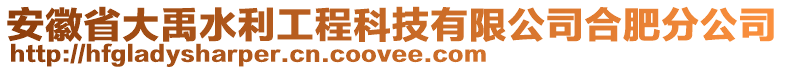 安徽省大禹水利工程科技有限公司合肥分公司