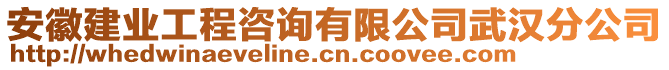 安徽建業(yè)工程咨詢有限公司武漢分公司