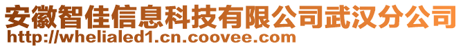 安徽智佳信息科技有限公司武漢分公司