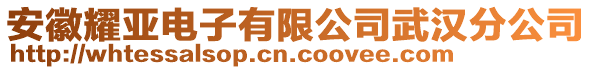 安徽耀亞電子有限公司武漢分公司