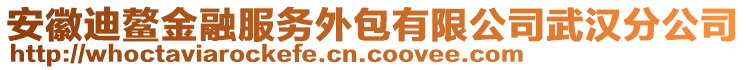 安徽迪鰲金融服務(wù)外包有限公司武漢分公司