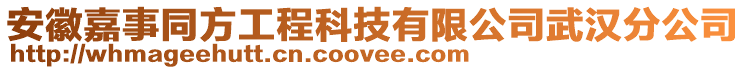 安徽嘉事同方工程科技有限公司武漢分公司