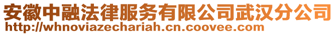 安徽中融法律服務(wù)有限公司武漢分公司