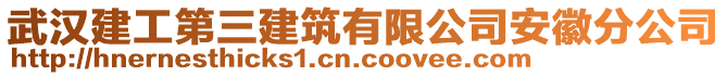 武漢建工第三建筑有限公司安徽分公司